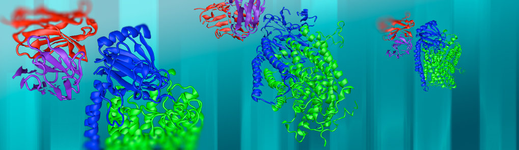 Project Groups of Department of Molecular Membrane Biology