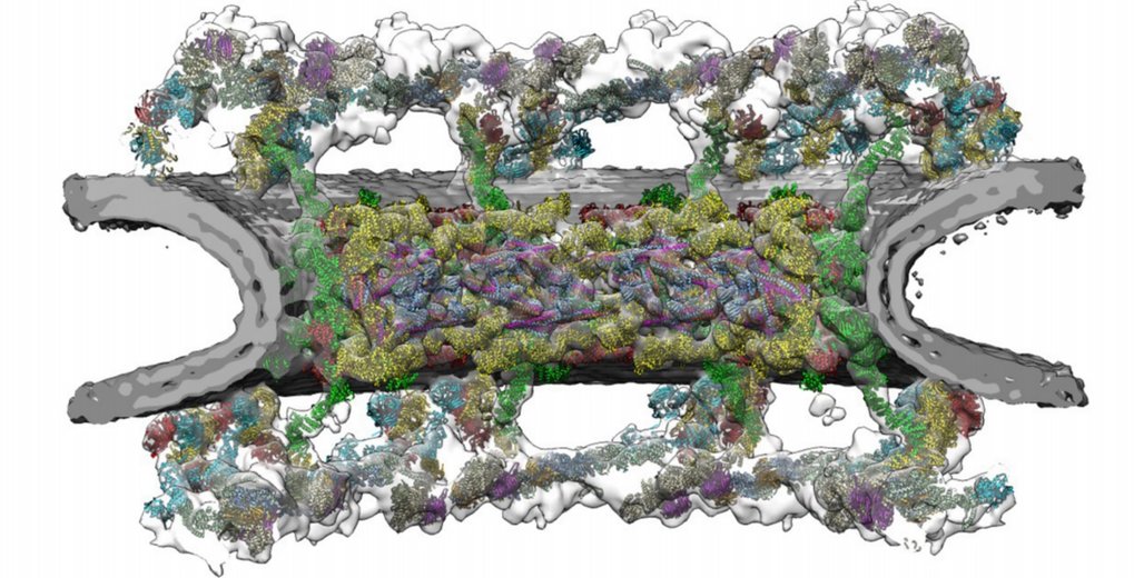 Integrative Structural Biology