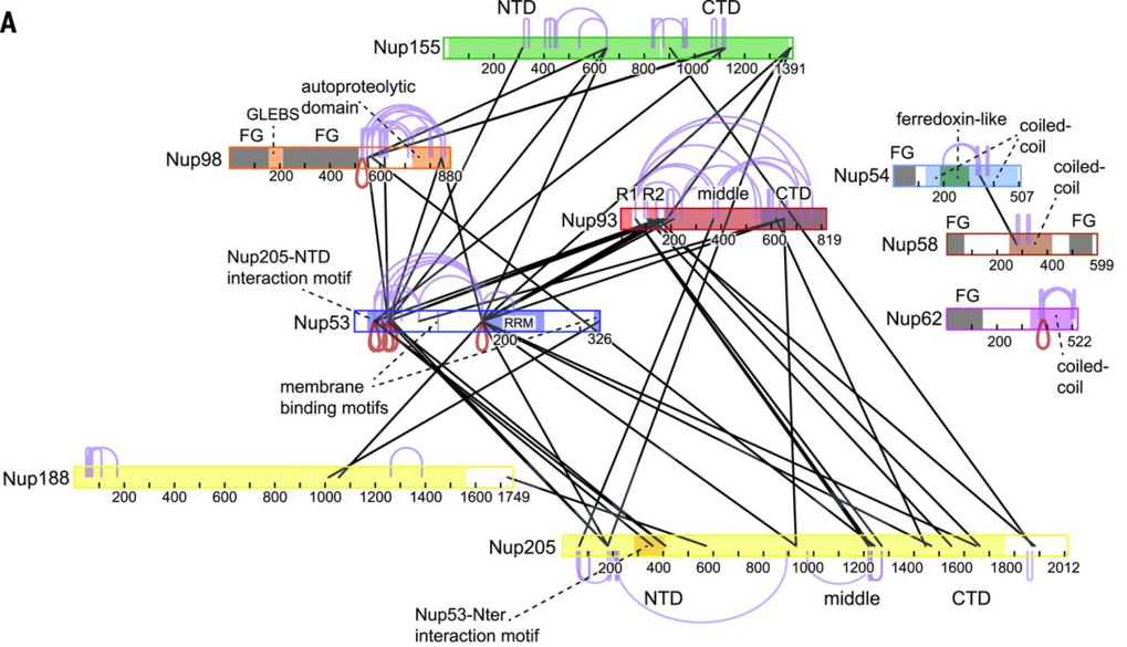 Structural Proteomics