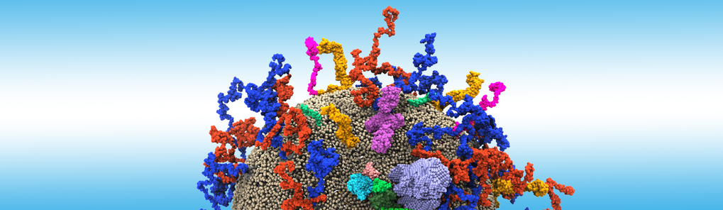 Membrane Sensing and Remodeling