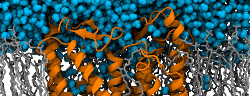 Introduction to Biomolecular Simulations