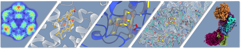 Bonnie Murphy &ndash; Redox and Metalloproteins