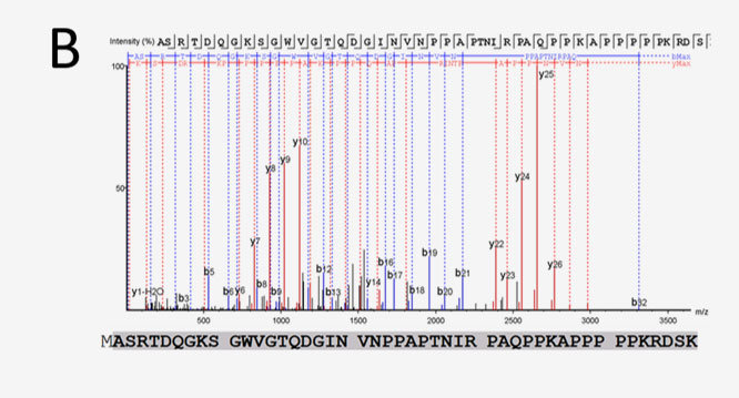 Julian Langer &ndash; Mass Spectrometry