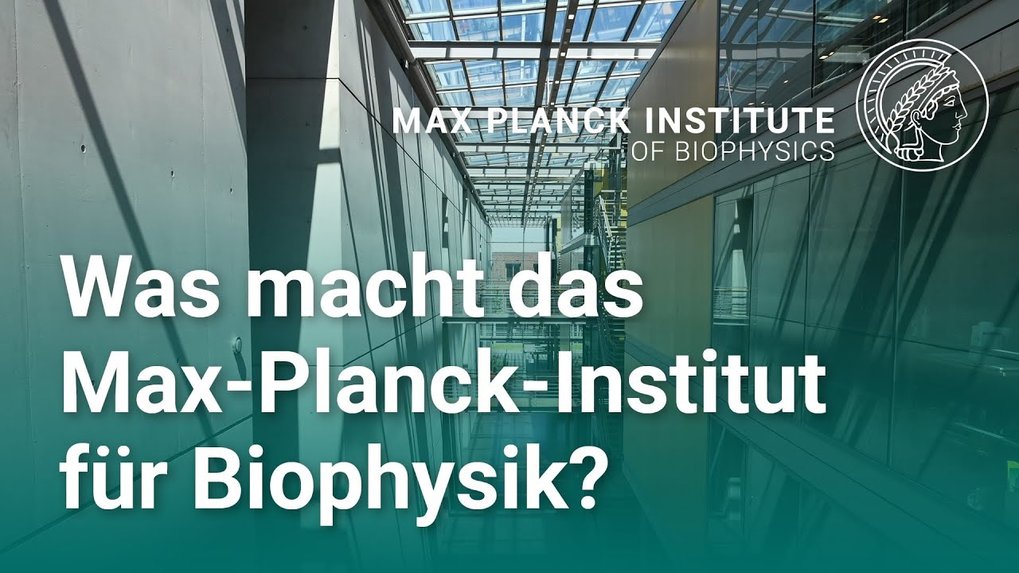 Max Planck Institute Of Biophysics | Max Planck Institute Of Biophysics