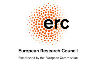 ERC Starting Grant: REEL-EM