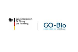 BMBF GO-Bio Glycodynamix