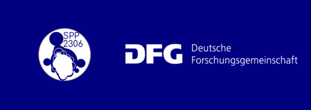 DFG Priority Programme 2306